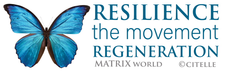 RESILIENCE ECOSYSTEM VLG world